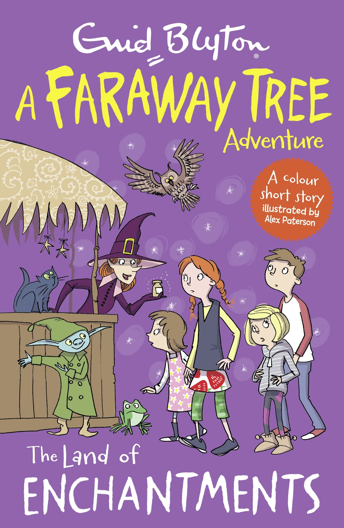 The Land of Enchantments: A Faraway Tree Adventure book