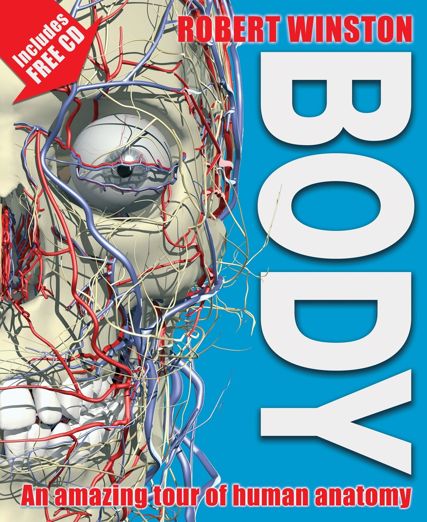 Body: An amazing tour of human anatomy Study Guides