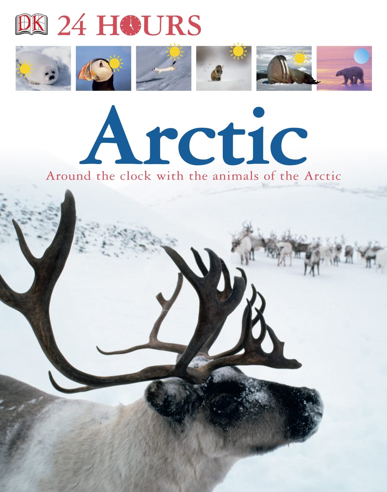 Arctic (24 Hours) Non-fiction books for kids
