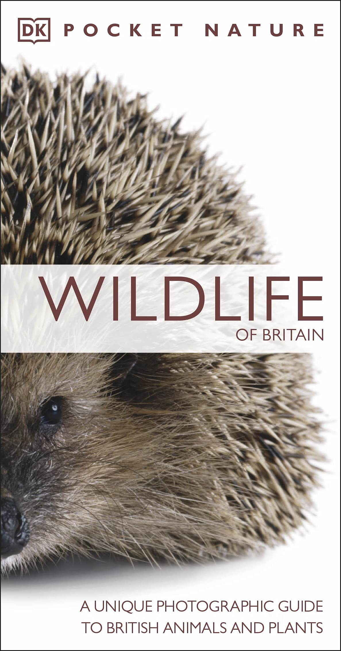 Pocket Nature Wildlife of Britain: A Unique Photographic Guide to British Wildlife book