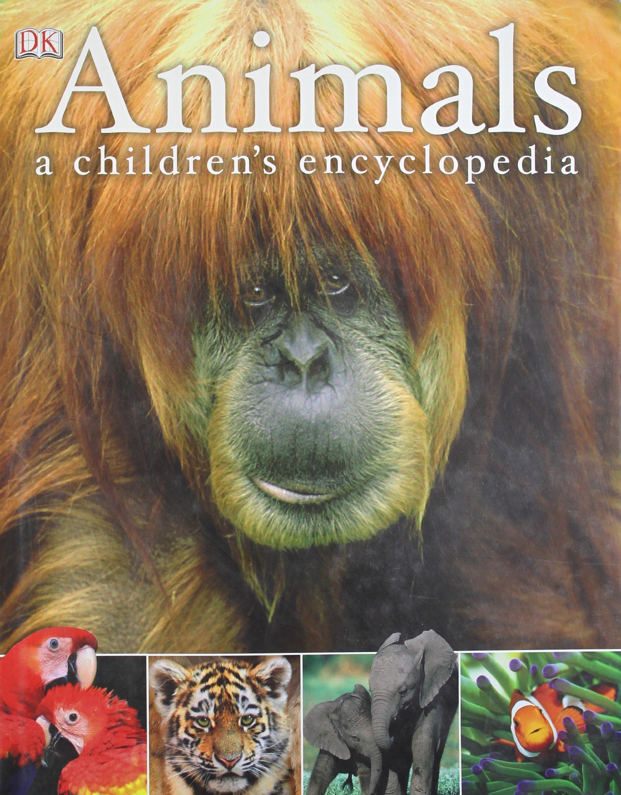 Animals A Children's Encyclopedia Non-fiction books for kids
