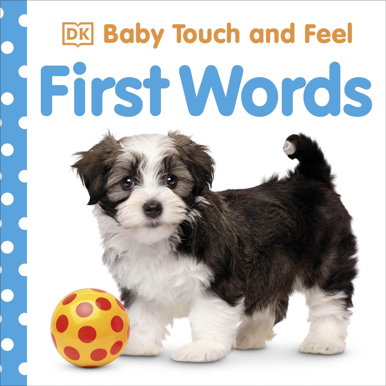 Baby Touch and Feel First Words book
