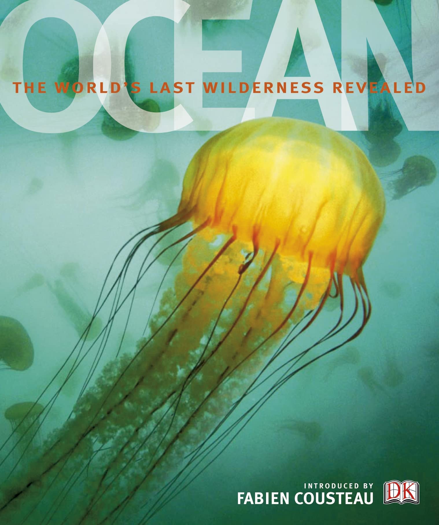 Ocean: The World's Last Wilderness Revealed Mathematics