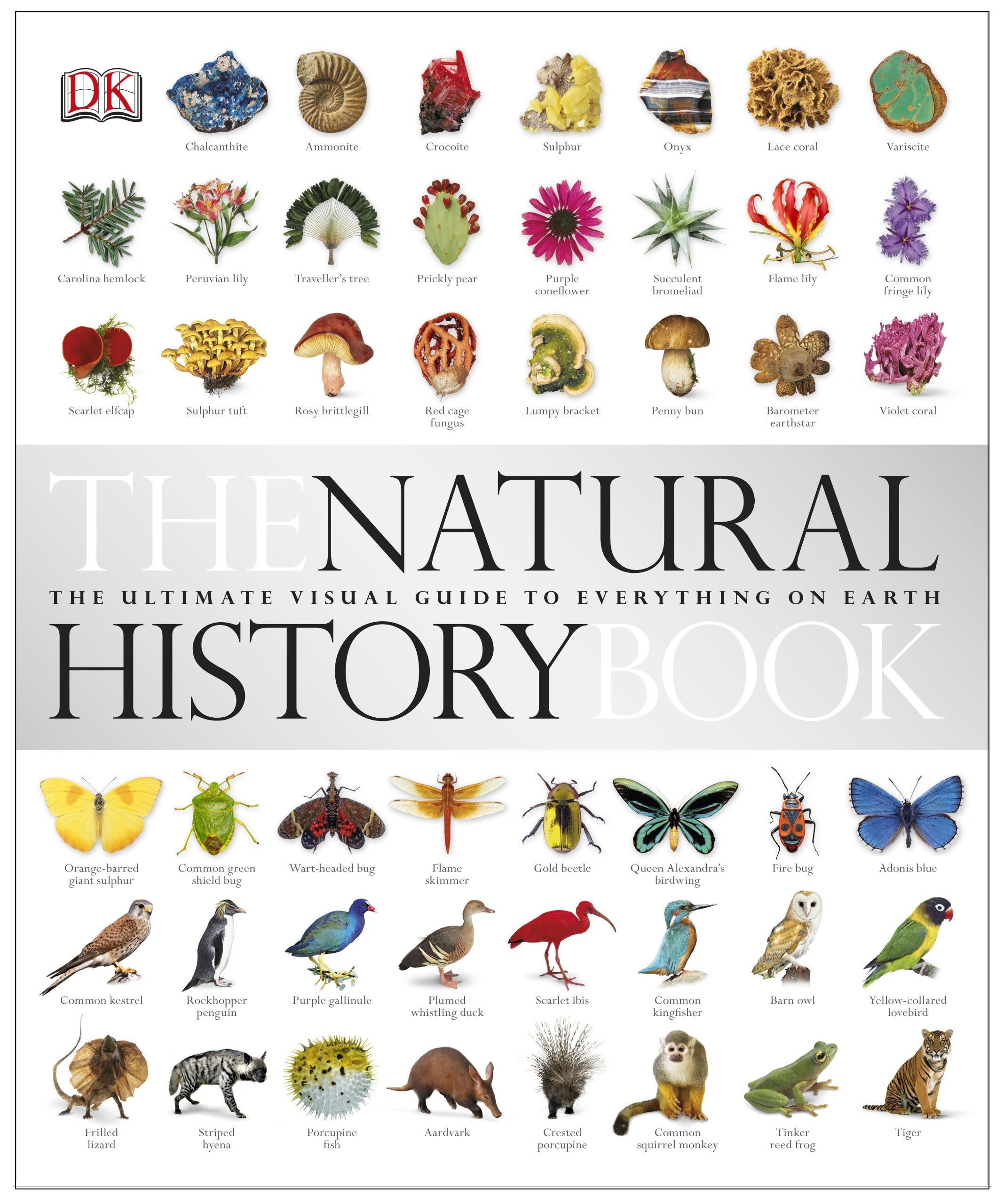 The Natural History Book Mathematics