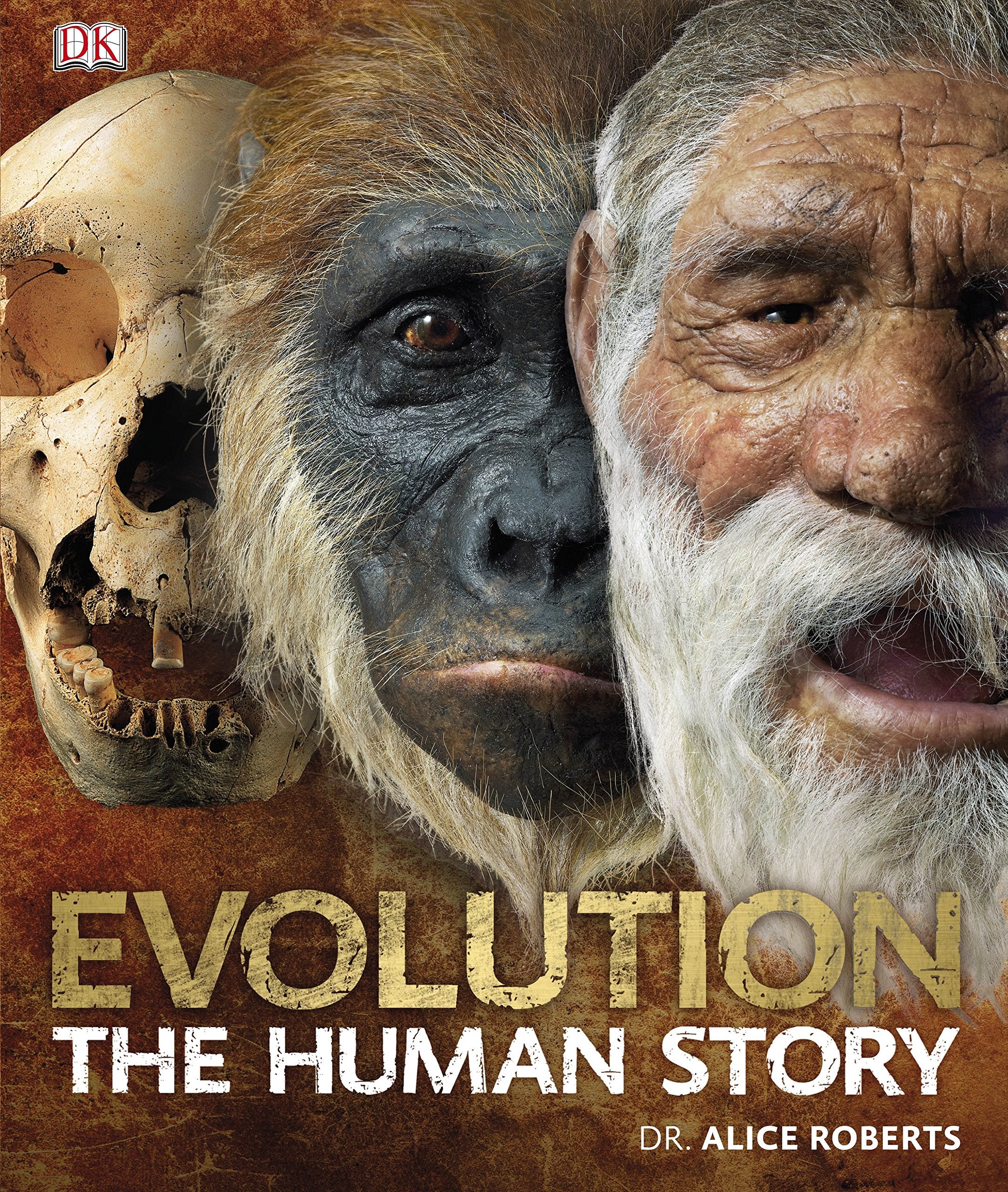 Evolution The Human Story: Discover the Amazing Secrets of our Ancestors Social Sciences