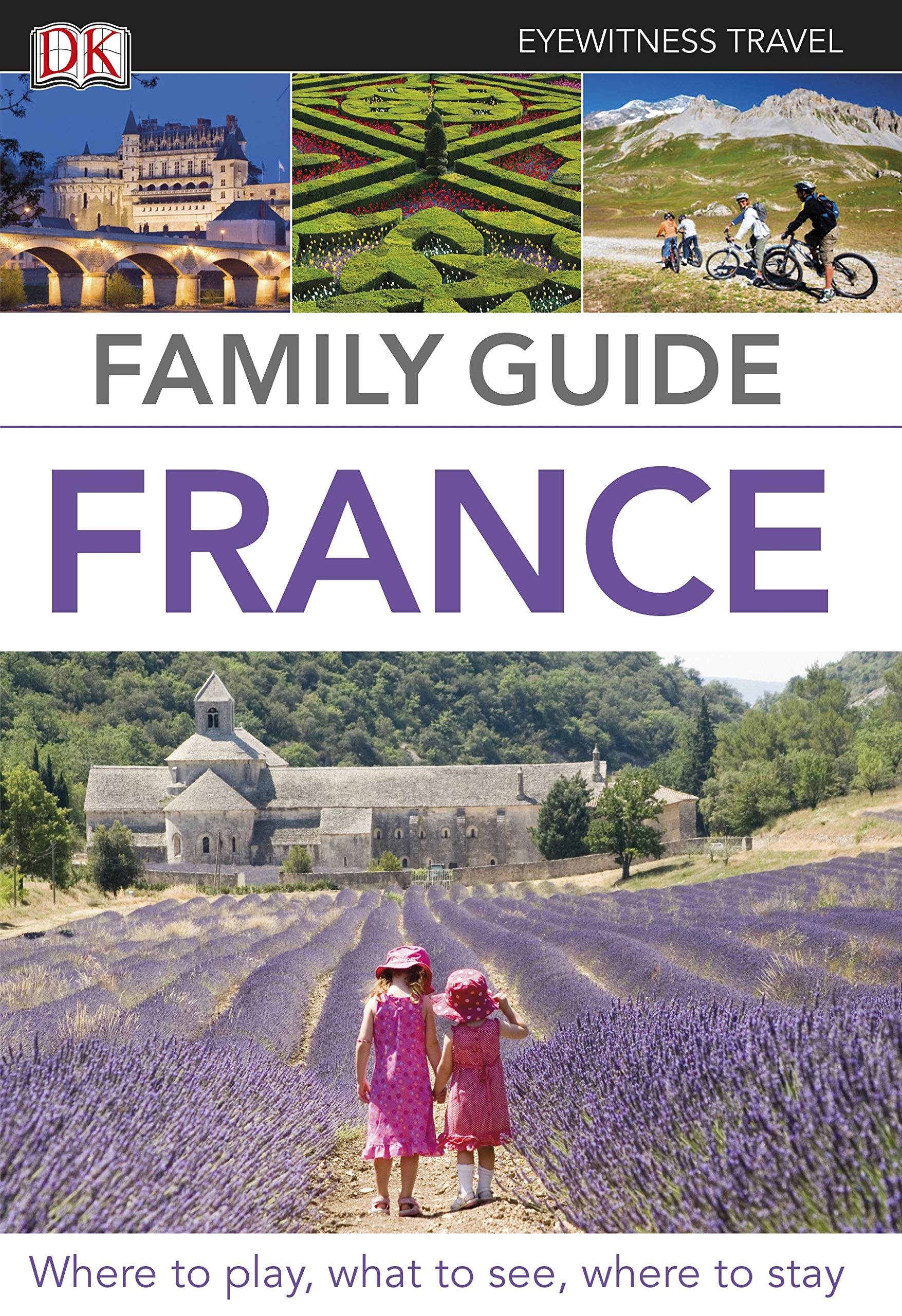Eyewitness Travel Family Guide France: Eyewitness Travel Guide 2012 (DK Eyewitness Travel Family Guides) Leisure, Home & Garden