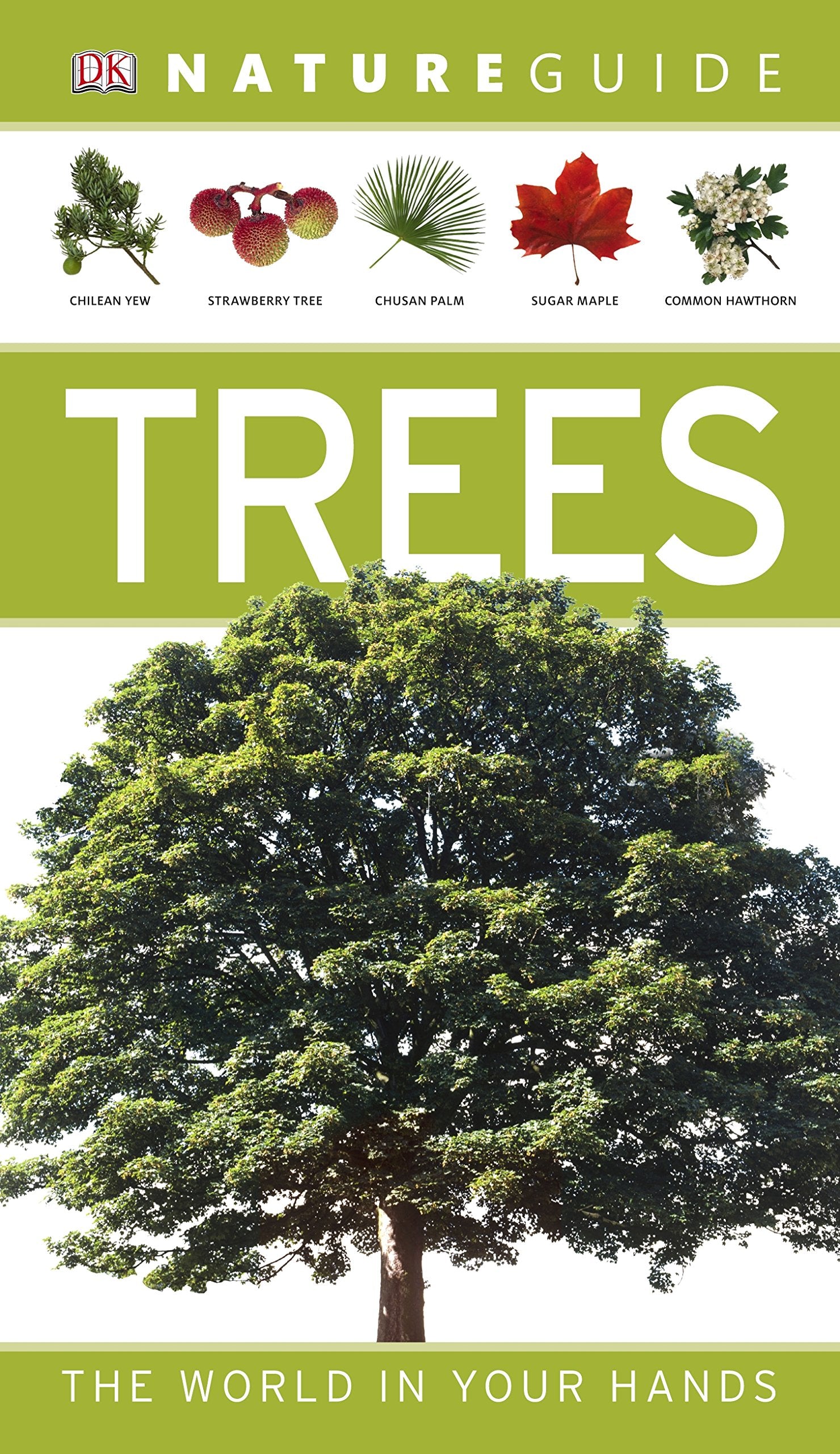 Nature Guide Trees: Nature Guide, The World in Your Hands Mathematics