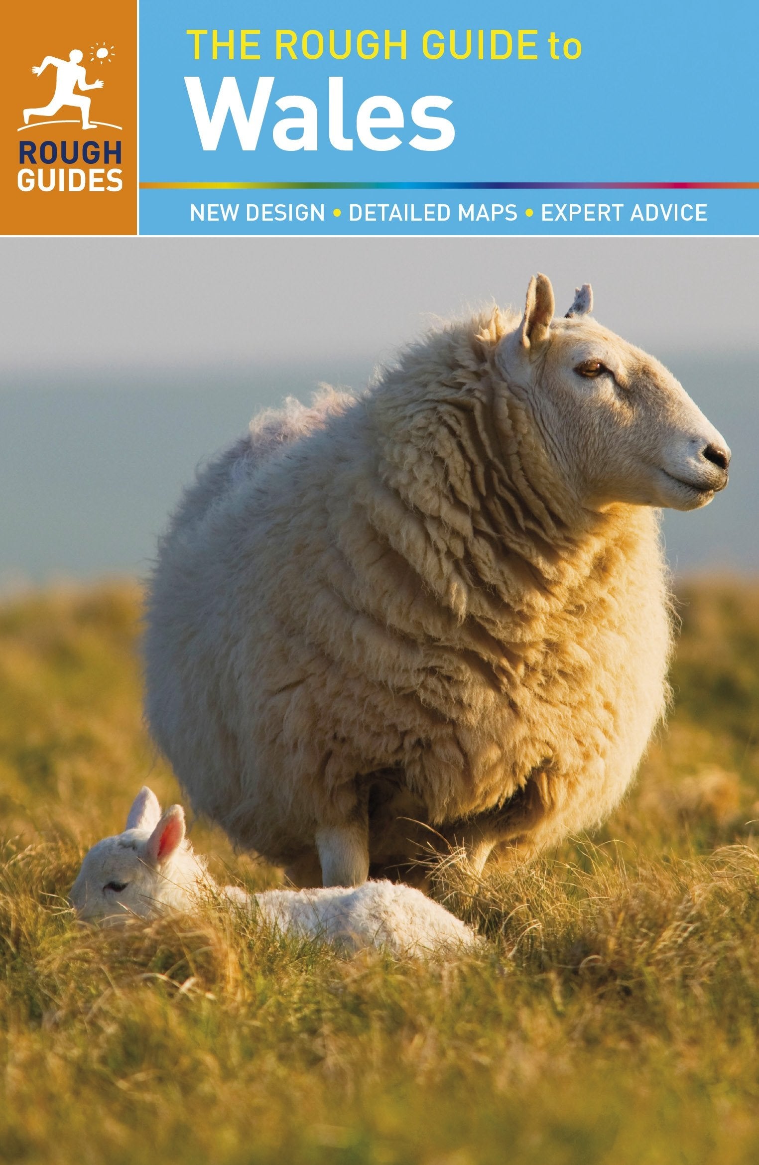 The Rough Guide to Wales (Rough Guides) Leisure, Home & Garden