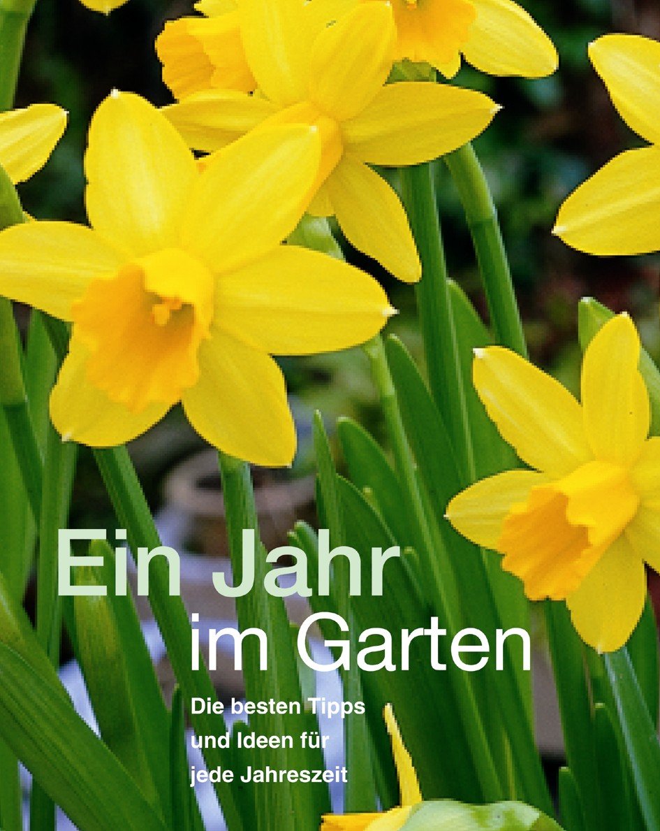 Ein Jahr im Garten: Die besten Tipps und Ideen für jede Jahreszeit Garden & Plants
