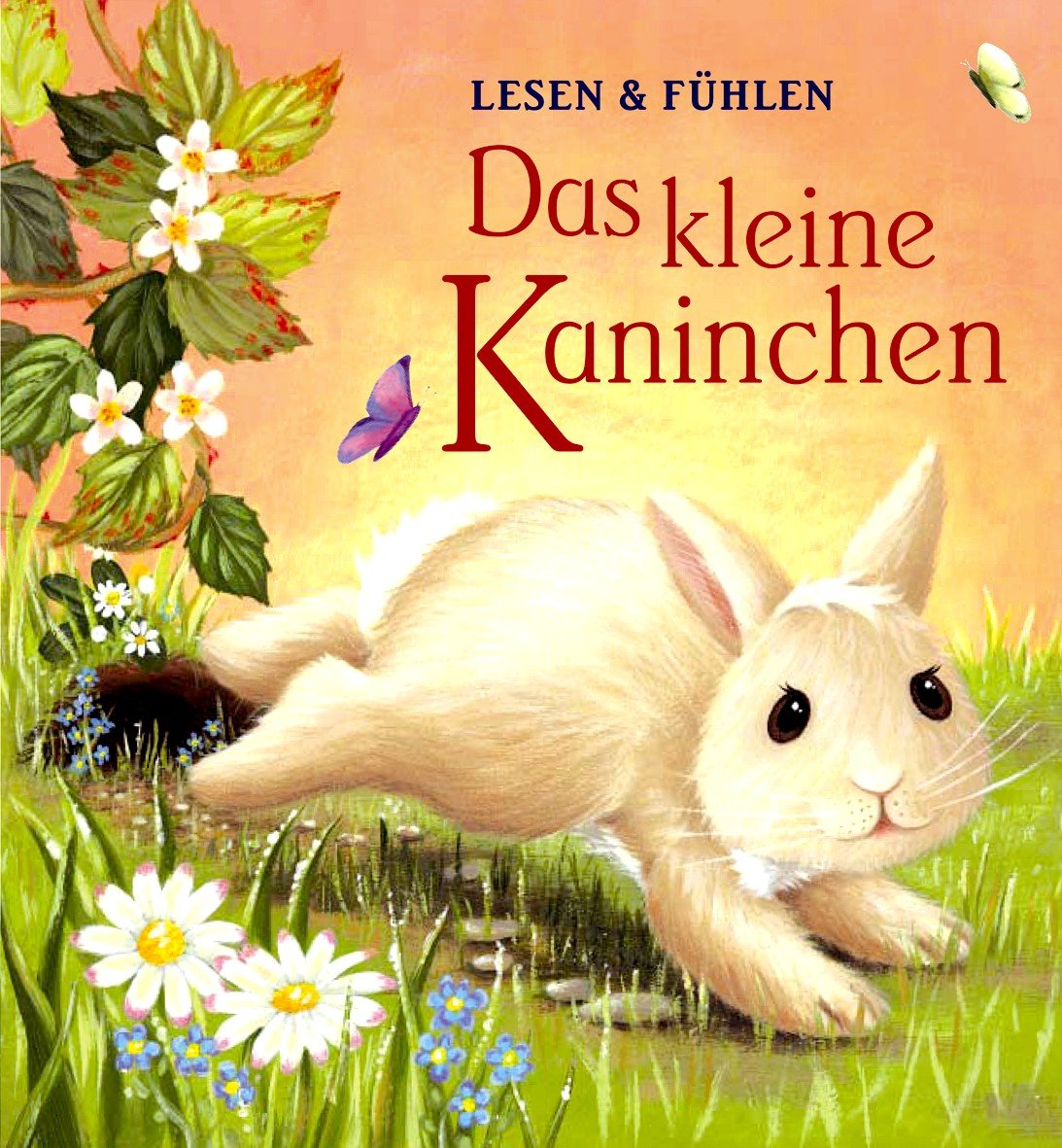 Product Image: Das kleine Kaninchen
