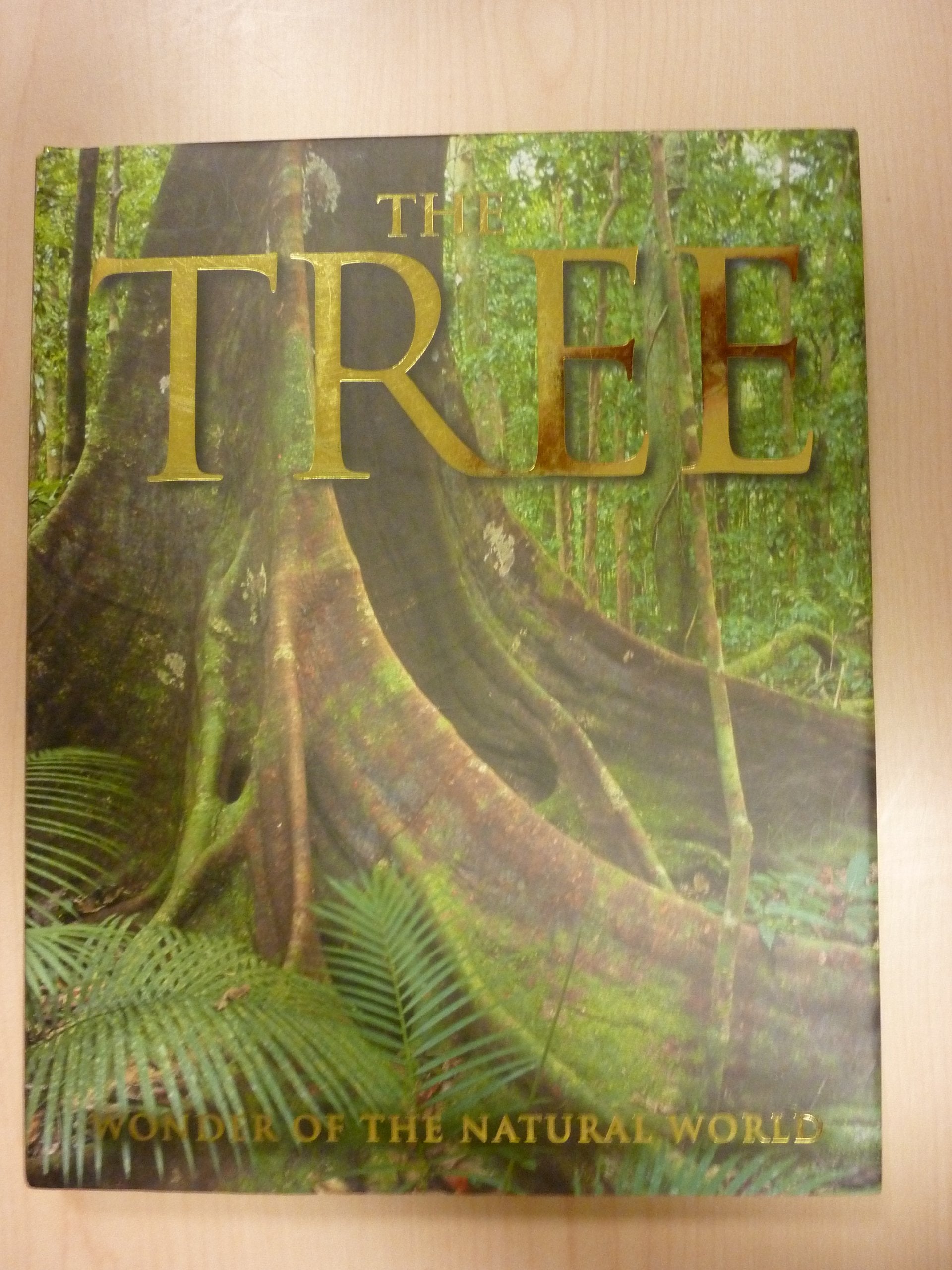 The Tree: Wonder of the Natural World Mathematics