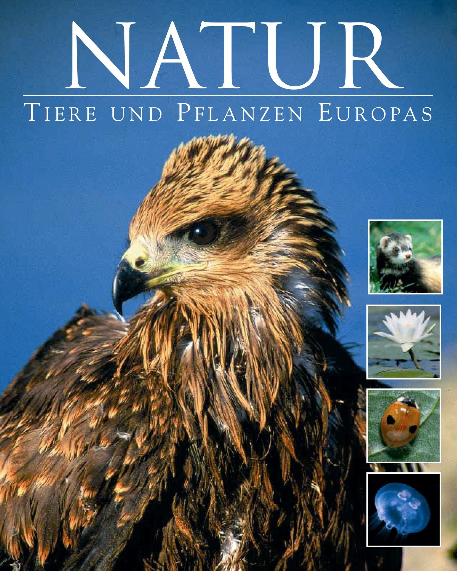Natur - Tiere und Pflanzen Europas Leisure, Home & Garden