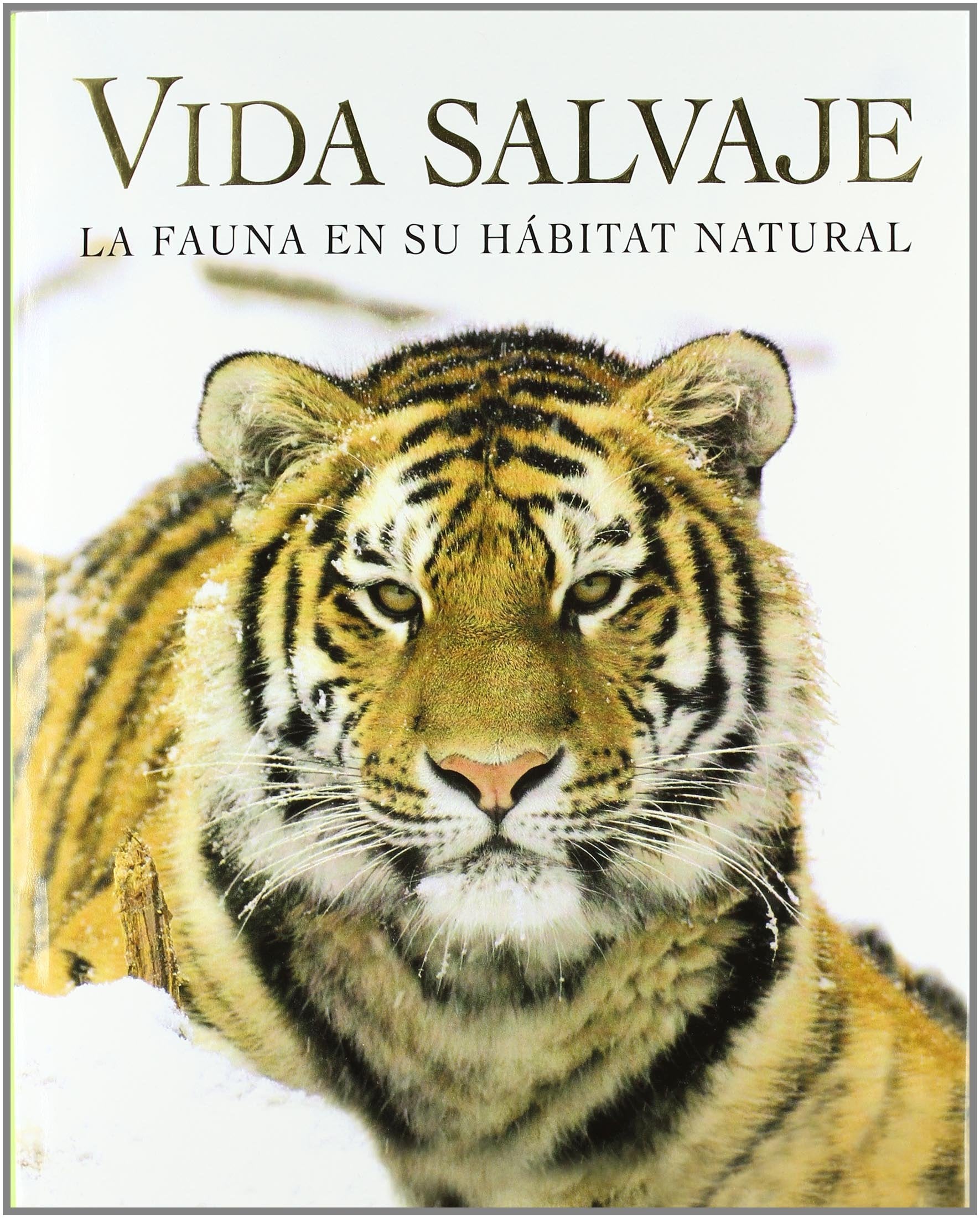 Vida salvaje. la fauna en su habitat natural book