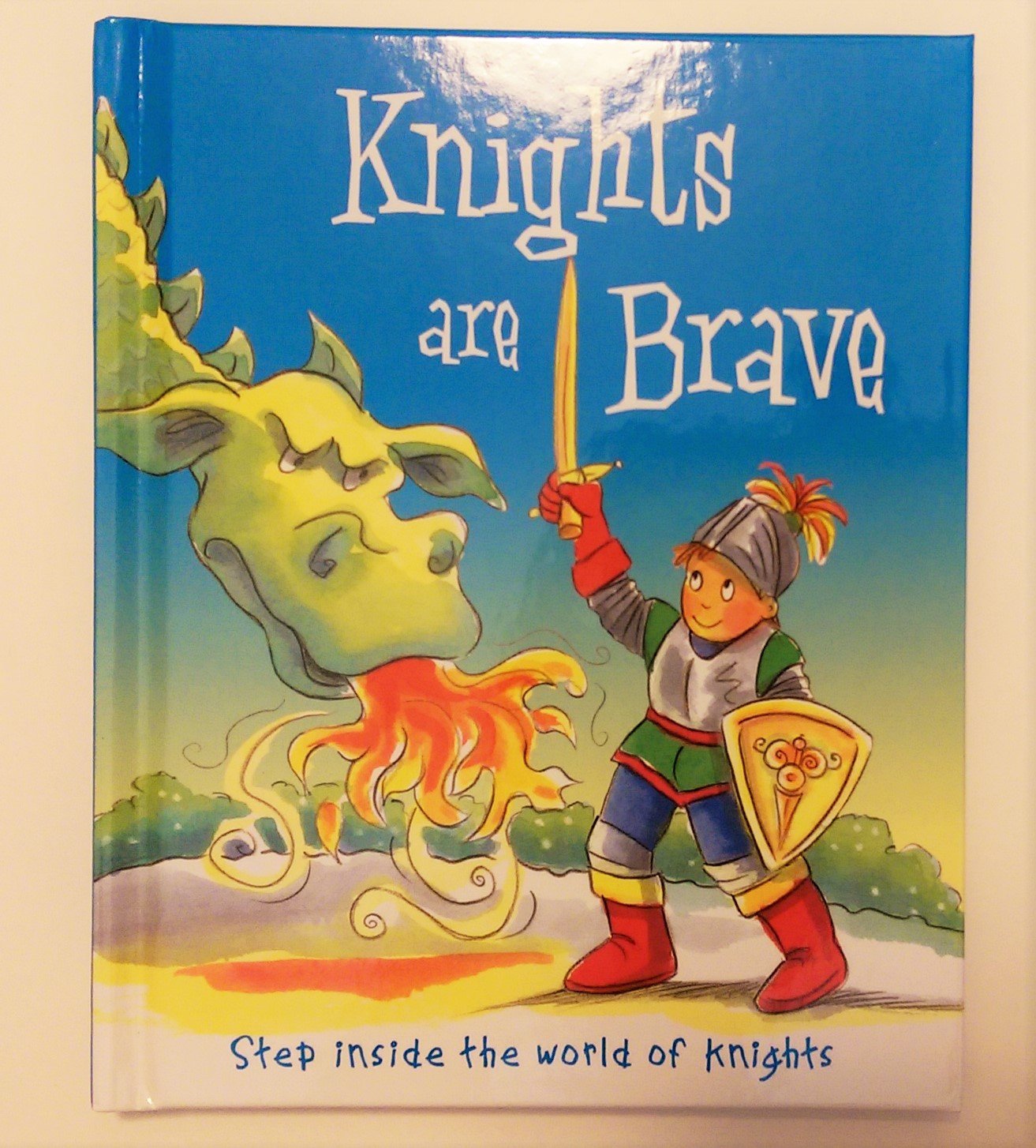Knights are Brave-Step inside the world of knights book