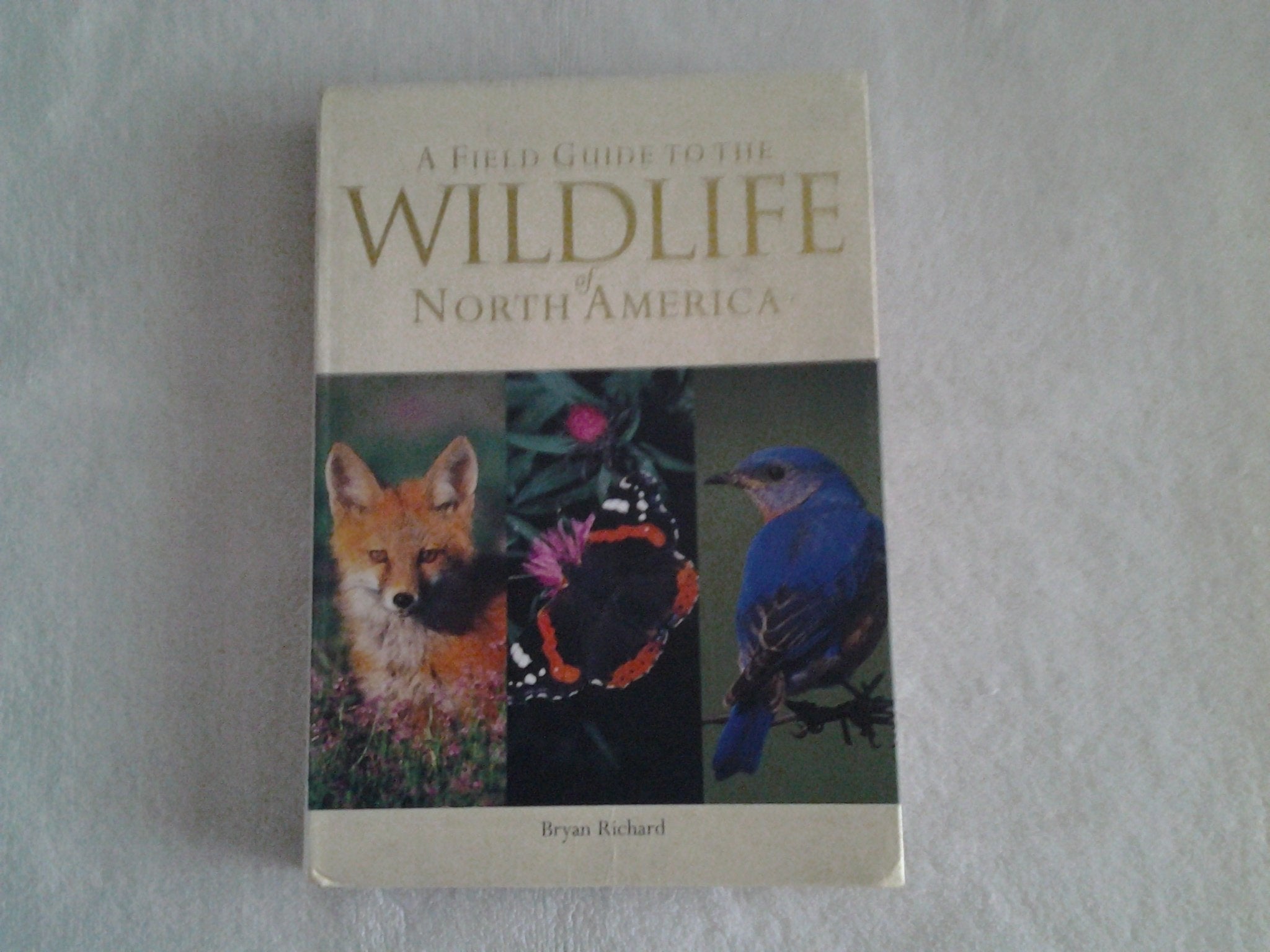 A Field Guide to the Wildlife of North America Mathematics