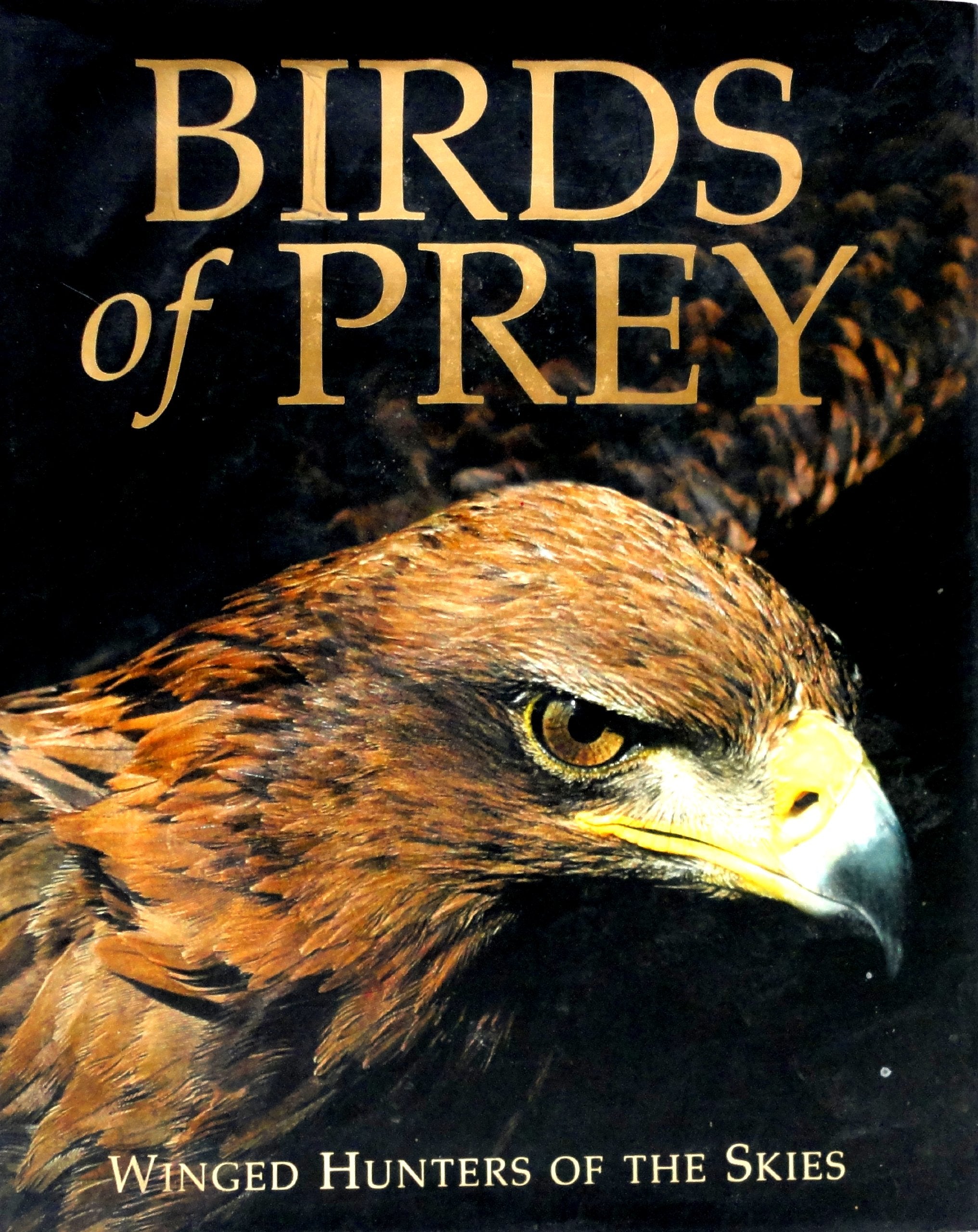 Birds of Prey Mathematics