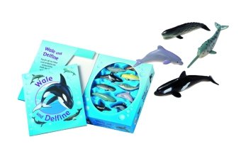 Wale und Delfine, m. bunten Spielfiguren Non-fiction
