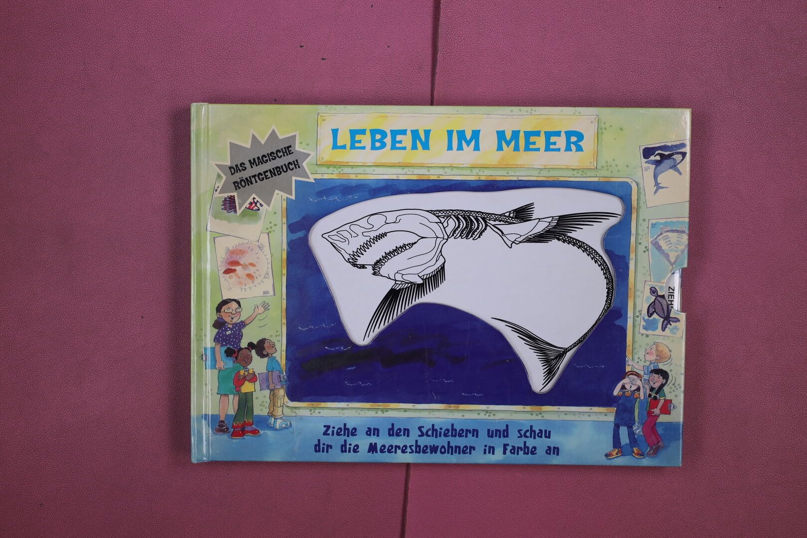 Leben im Meer: Ziehe an den Schiebern und schau dir die Meeresbewohner in Farbe an Non-fiction