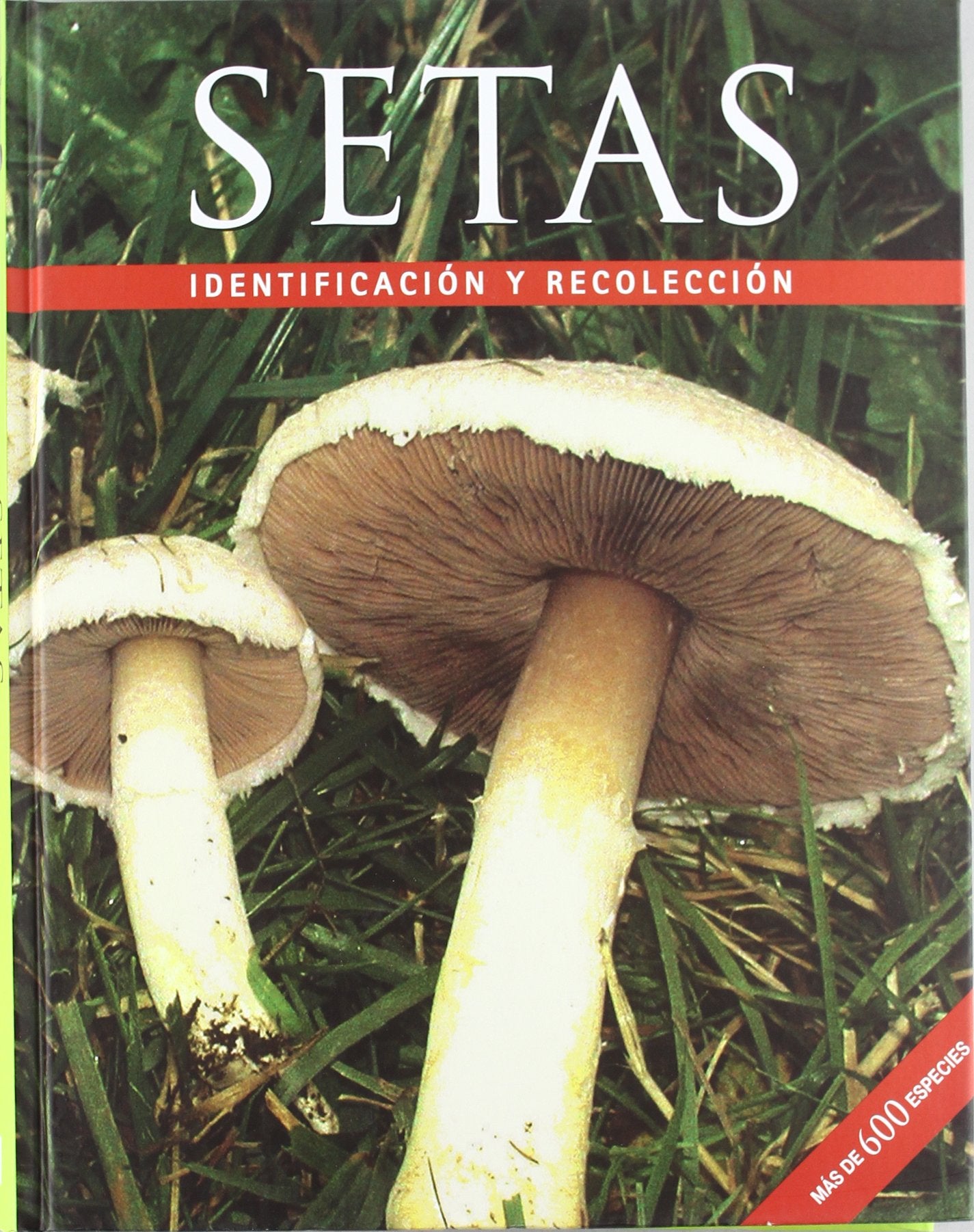Setas: Identification Y Recoleccion Books