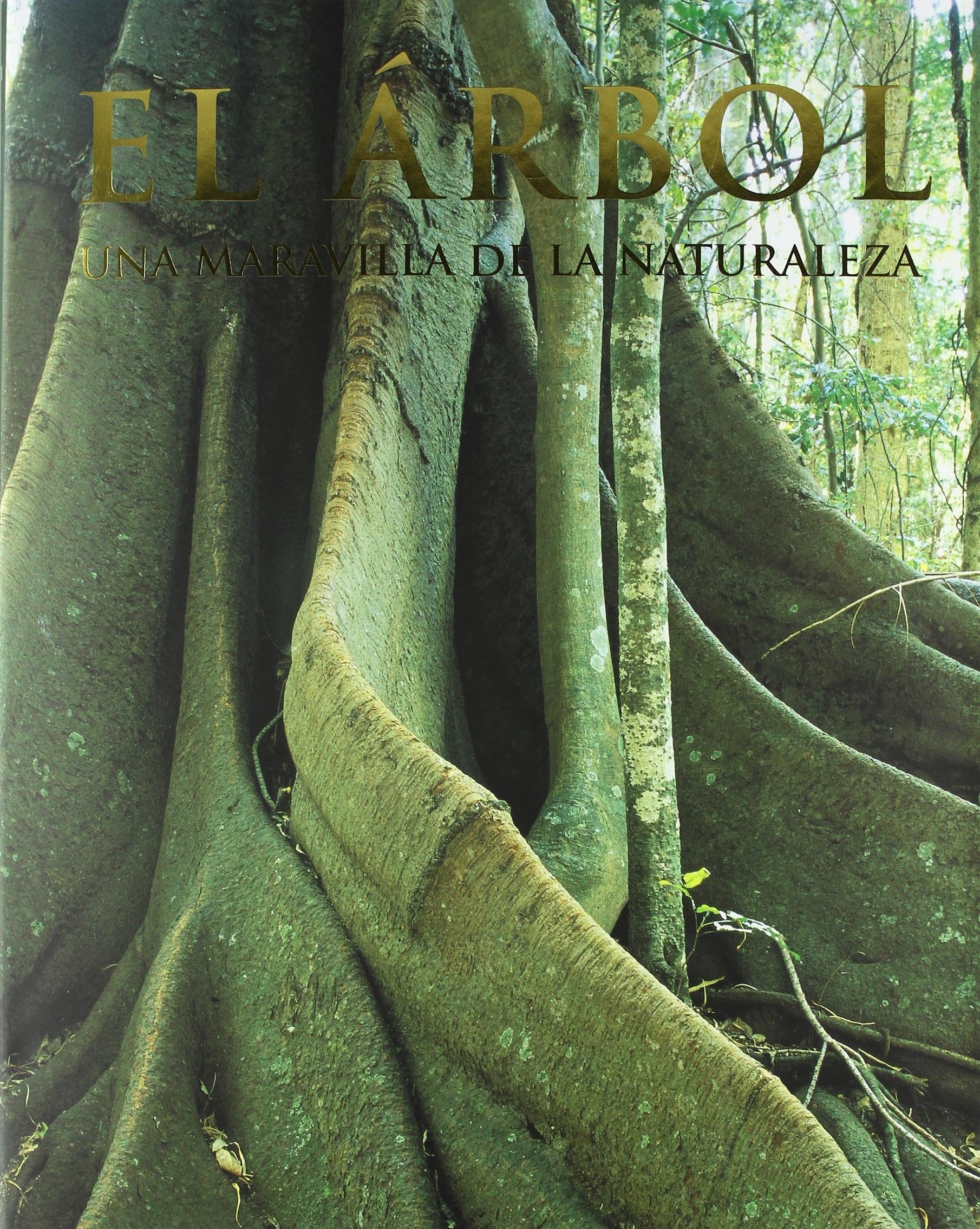 El arbol. Una maravilla de la naturaleza Books
