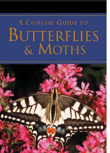 A Concise Guide to Butterflies (Pocket Guides) Mathematics