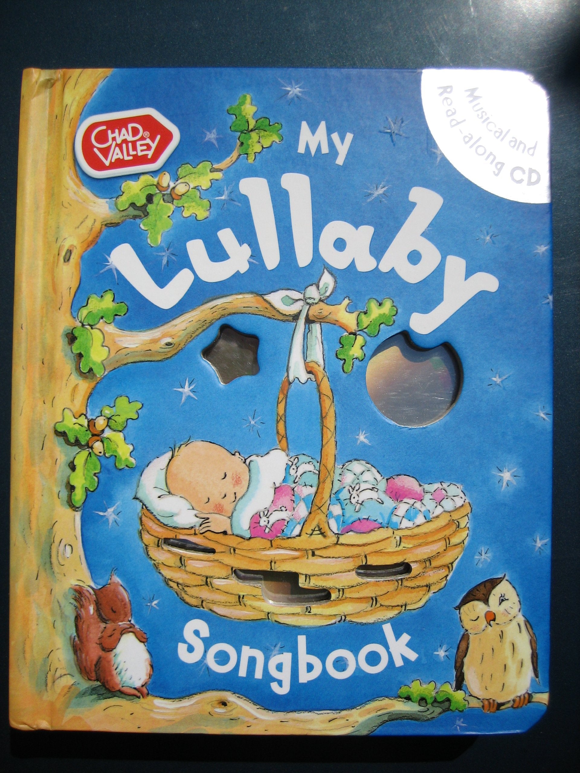 My Lullaby Song Book book