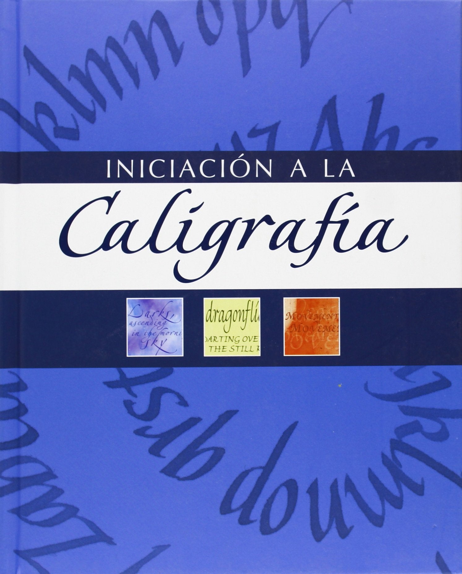 Iniciacion a la caligrafia book