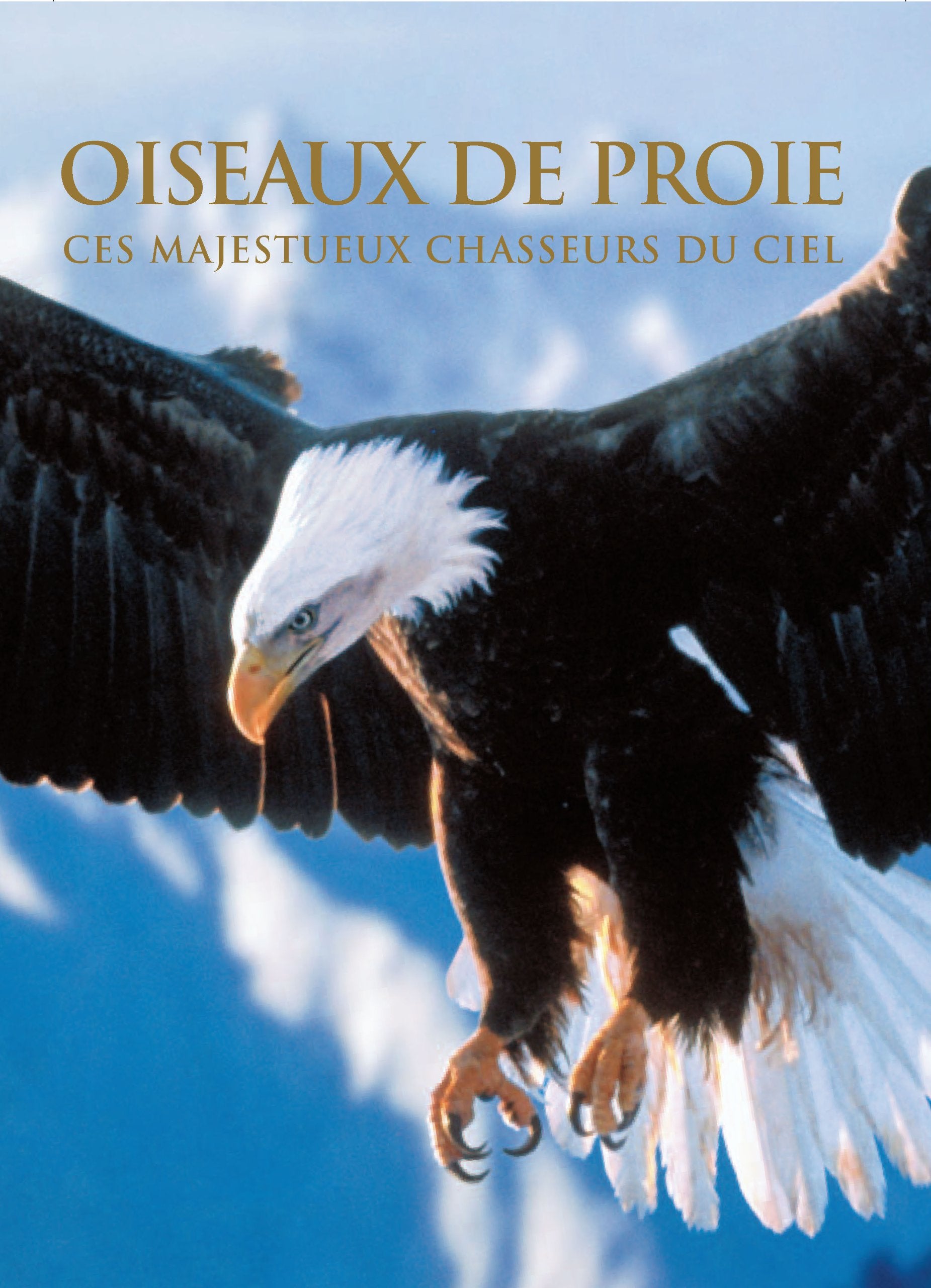 Oiseaux de proie: Ces majestueux chasseurs du ciel book