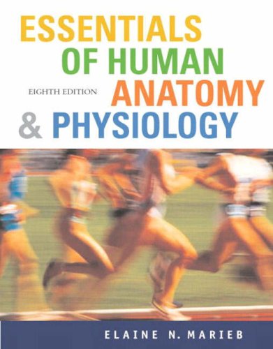 Value Pack: Esentials of Human Anatomy and Physiology with Prentice Hall Real Nursing Skills:Intermediate to Advanced Nursing Skills Medicine