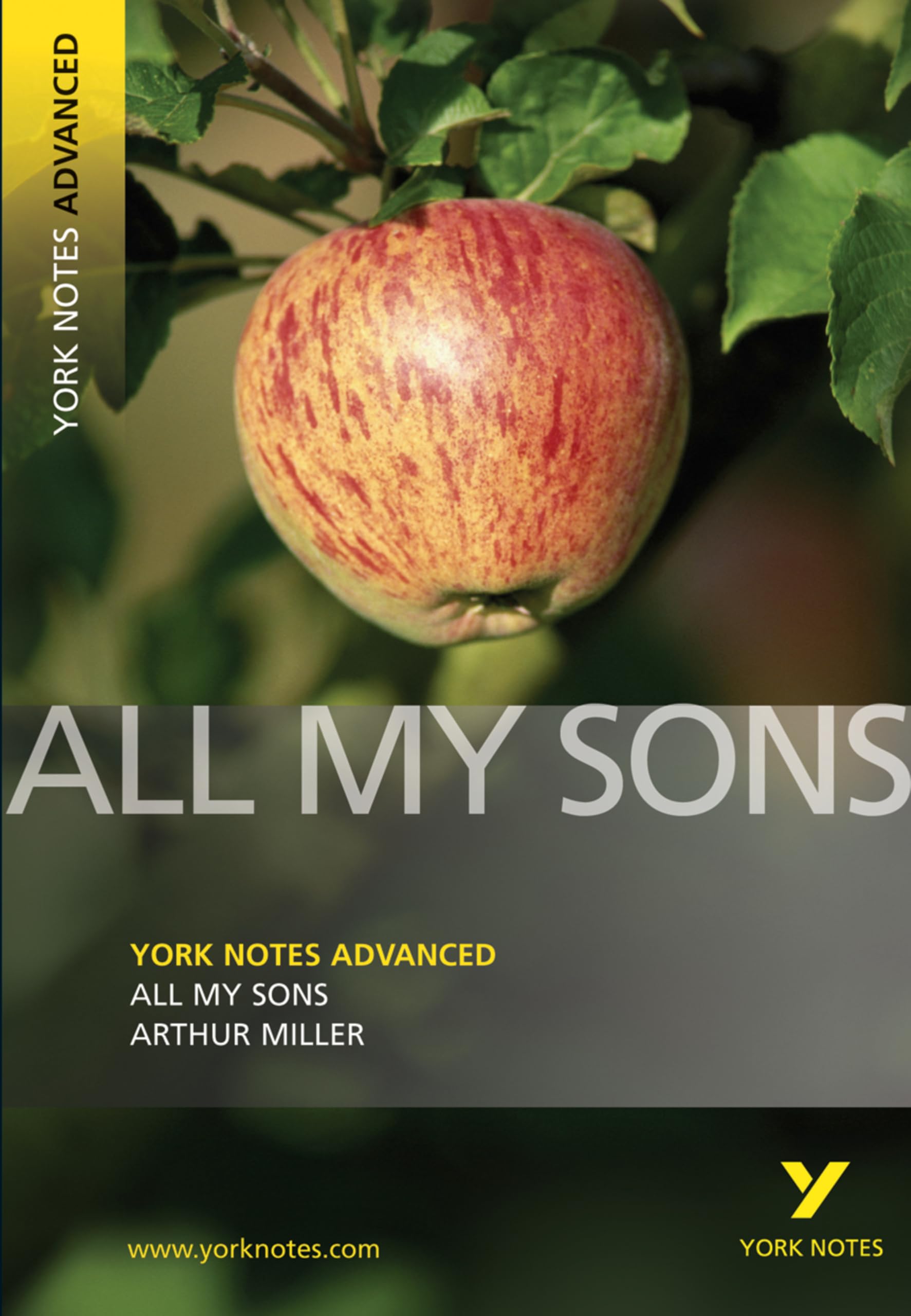 Arthur Miller 'All My Sons': Text in English (York Notes Advanced) Drama