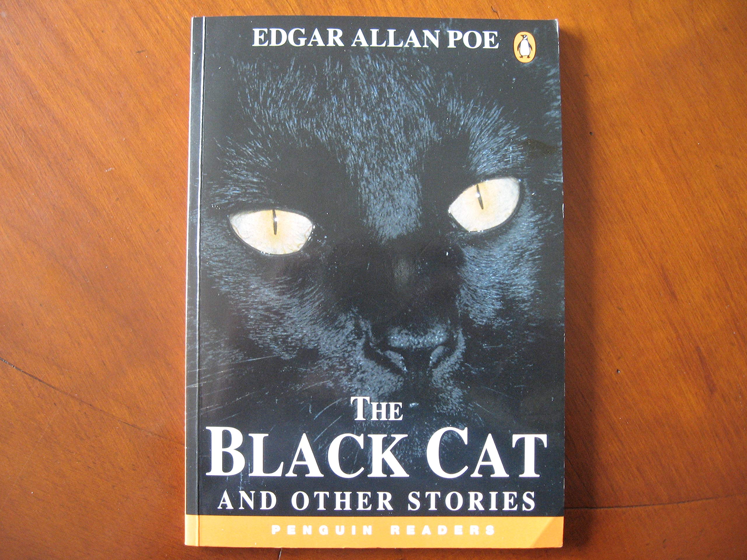 The Black Cat and other stories Books