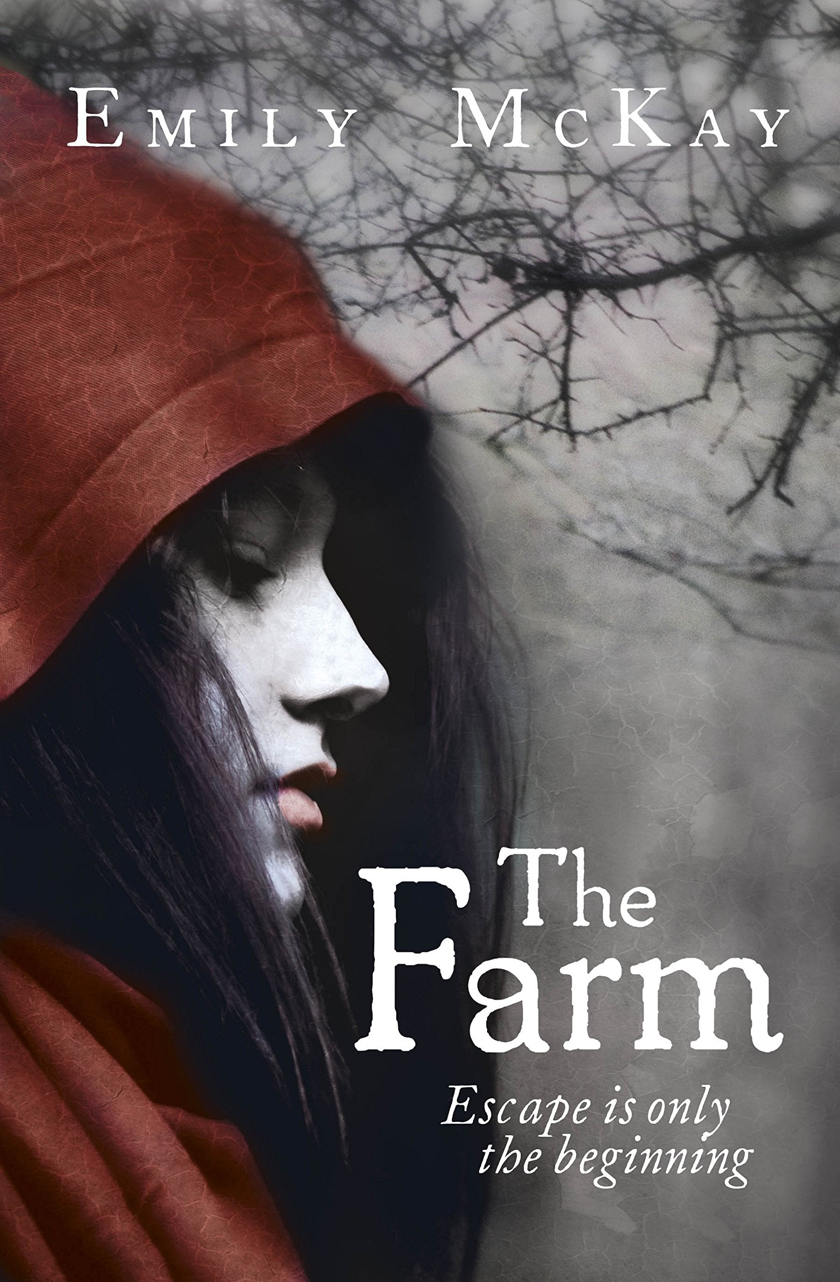 The Farm: Dystopian Fantasy: Escape is only the Beginning Contemporary literature