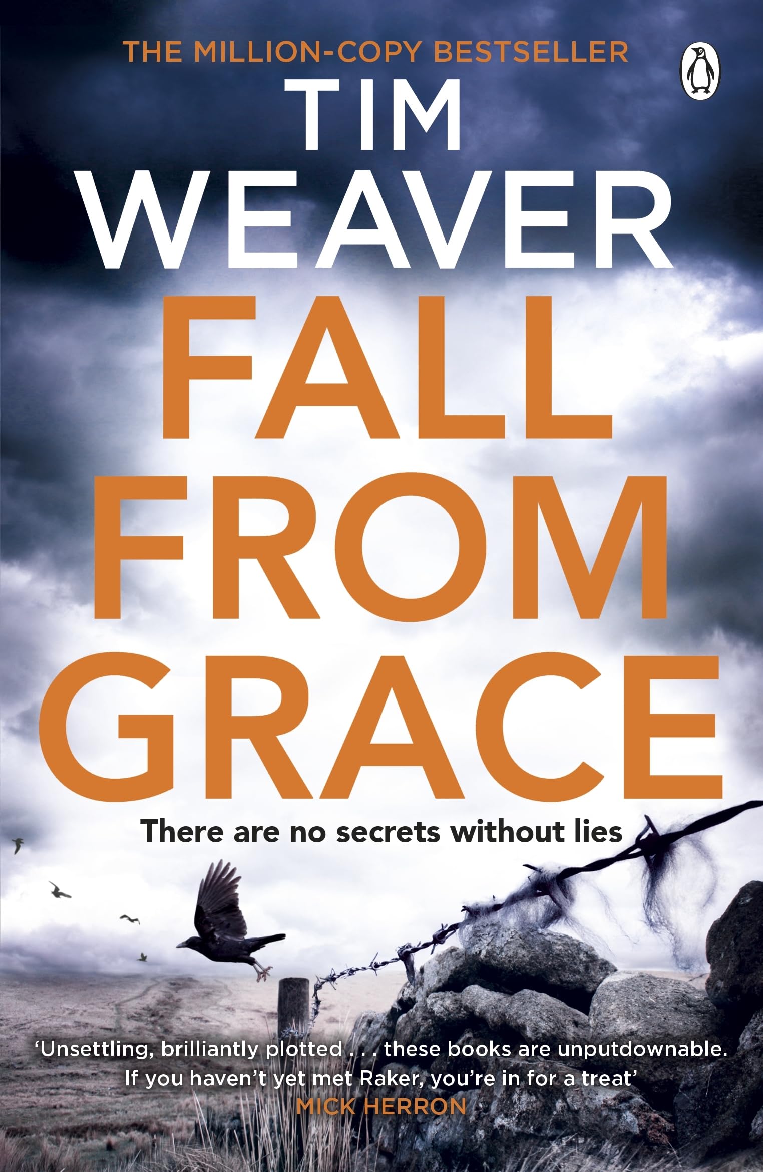 Fall From Grace: Her husband is missing . . . in this BREATHTAKING THRILLER (David Raker Missing Persons, 5, Band 5) Action & Adventure