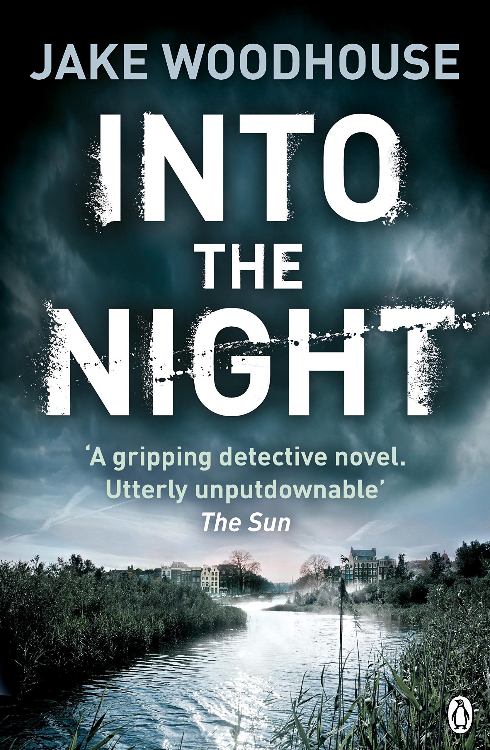 Into the Night: Inspector Rykel Book 2 (Amsterdam Quartet with Inspector Jaap Rykel) Contemporary literature