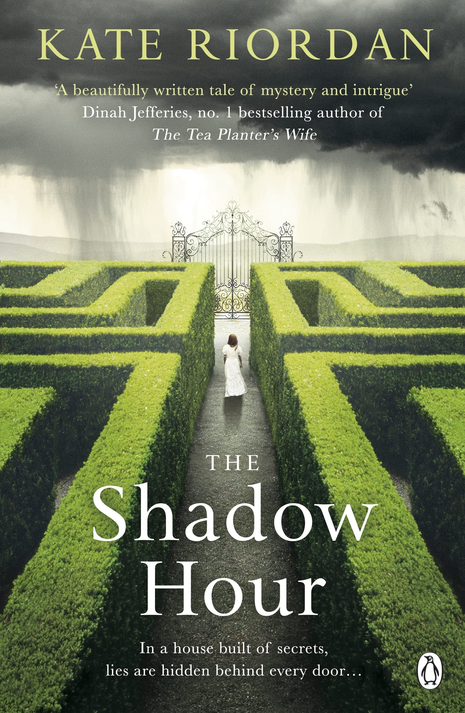 The Shadow Hour Contemporary literature Books