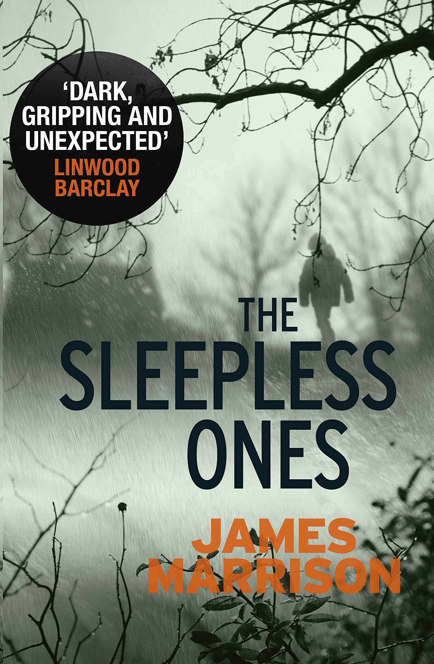 The Sleepless Ones Contemporary literature Books