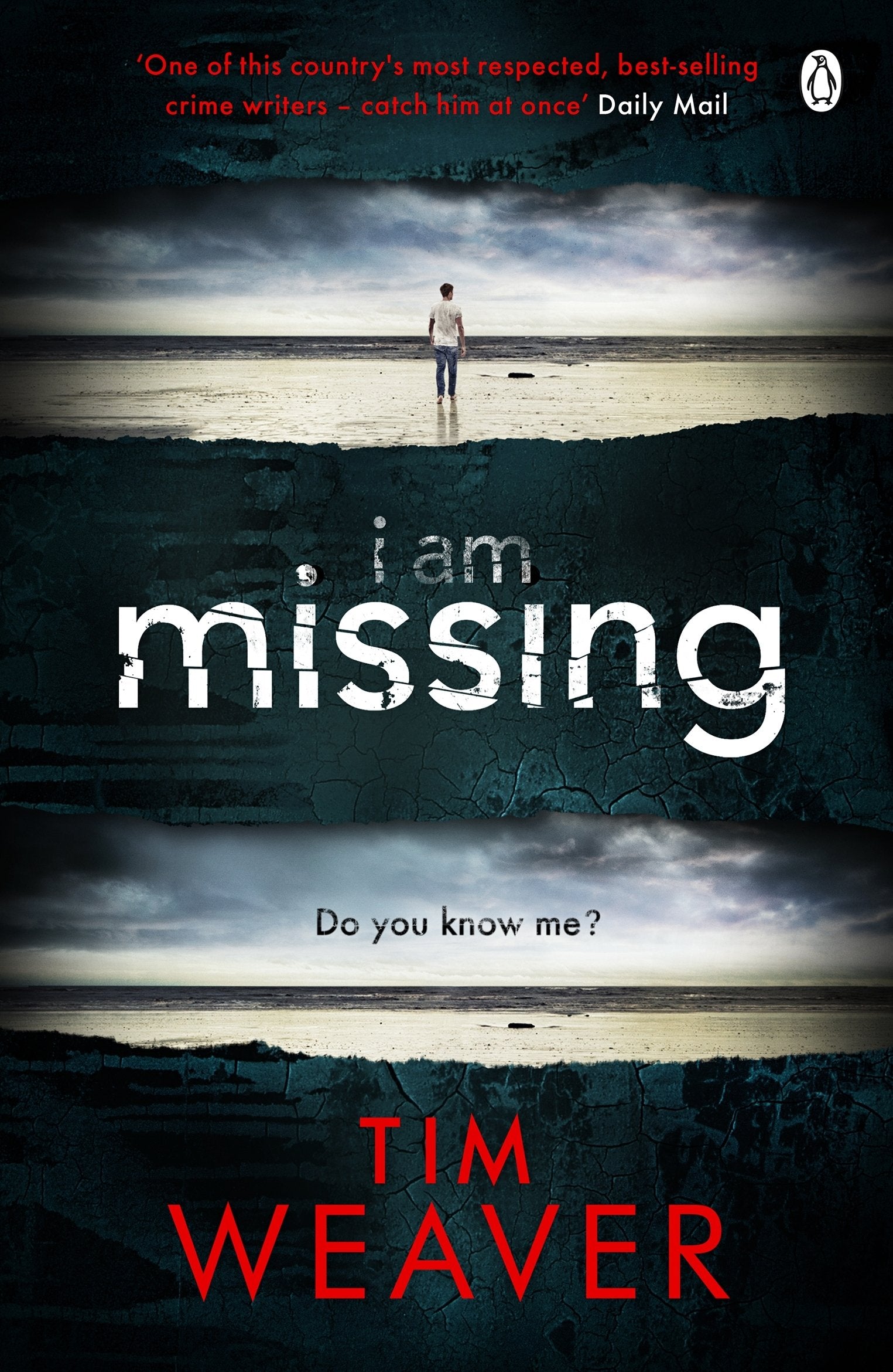 I Am Missing Contemporary literature Books