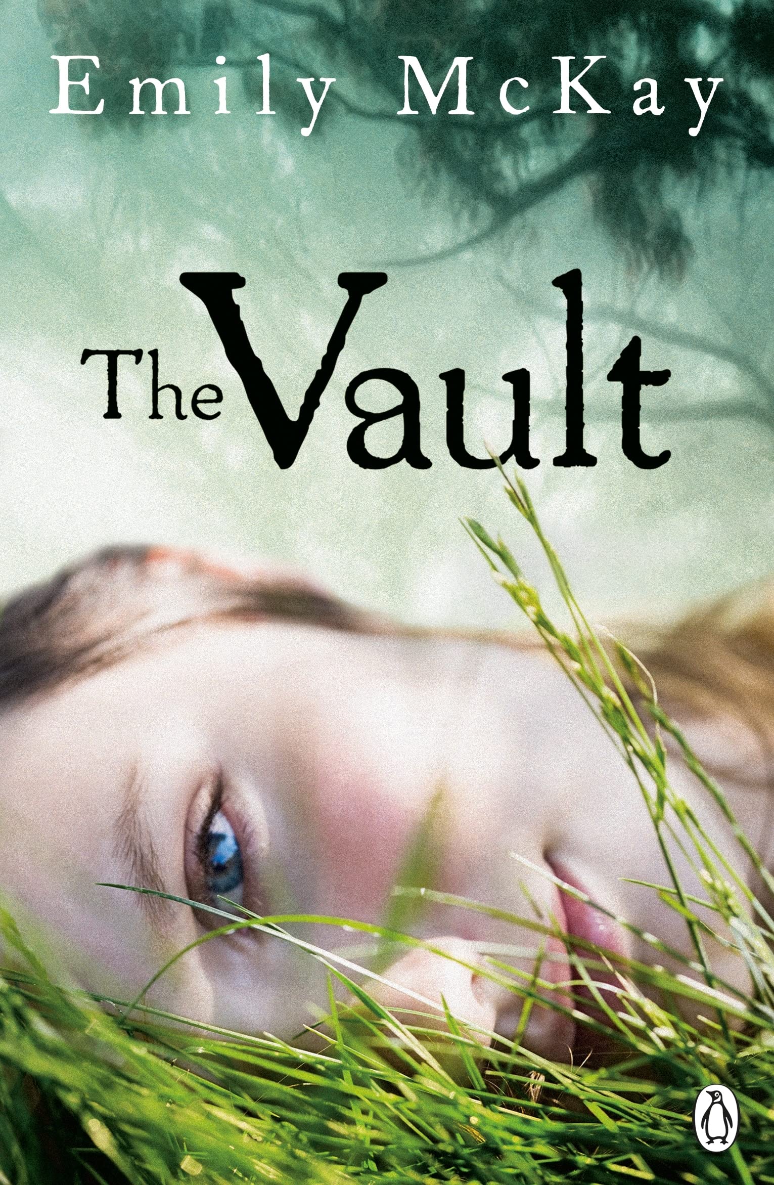 The Vault (The Farm, 3) Contemporary literature