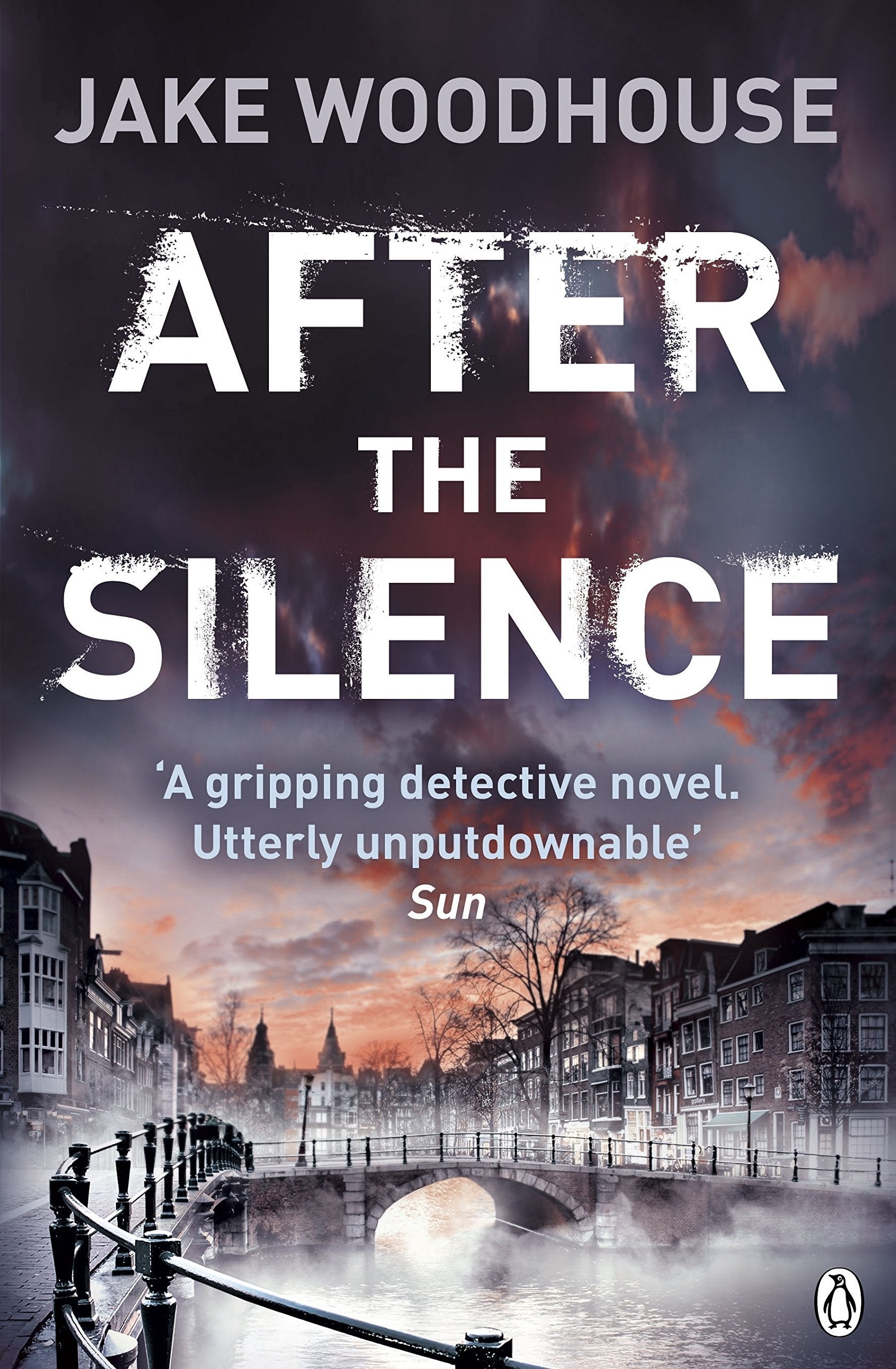 Product Image: After the Silence