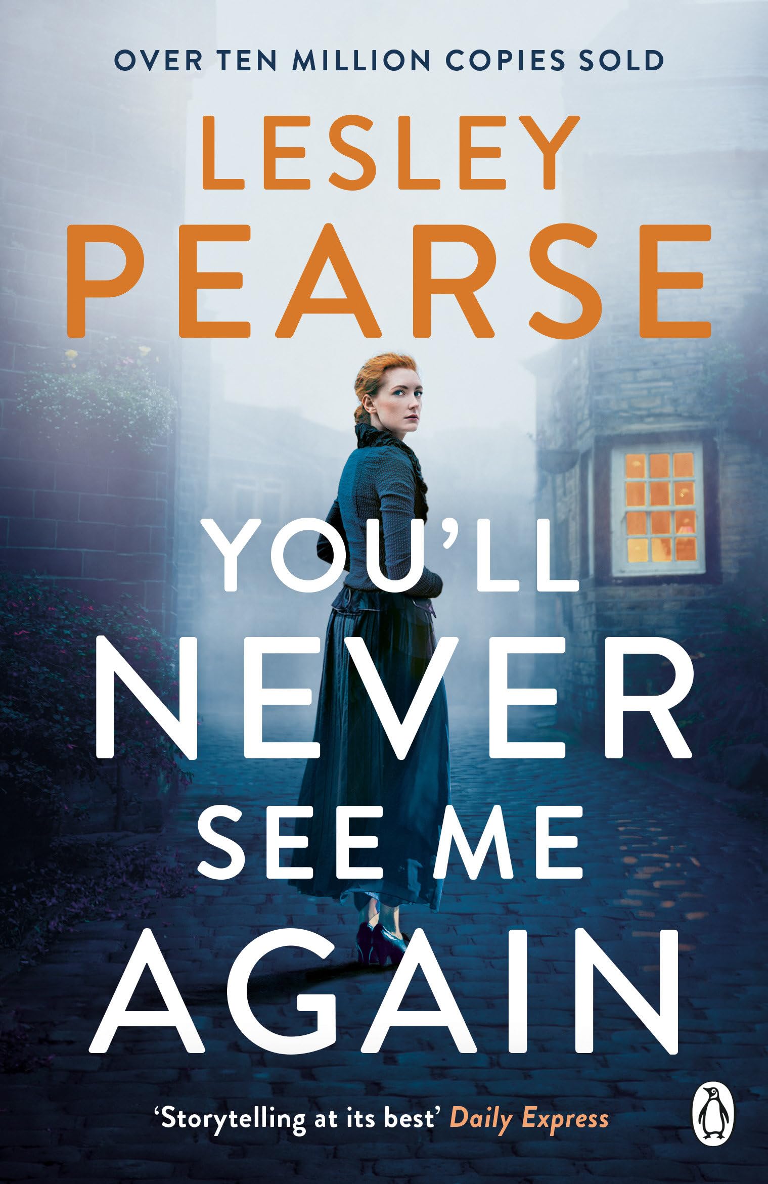 You'll Never See Me Again: ‘Storytelling at its best' – DAILY EXPRESS Action & Adventure