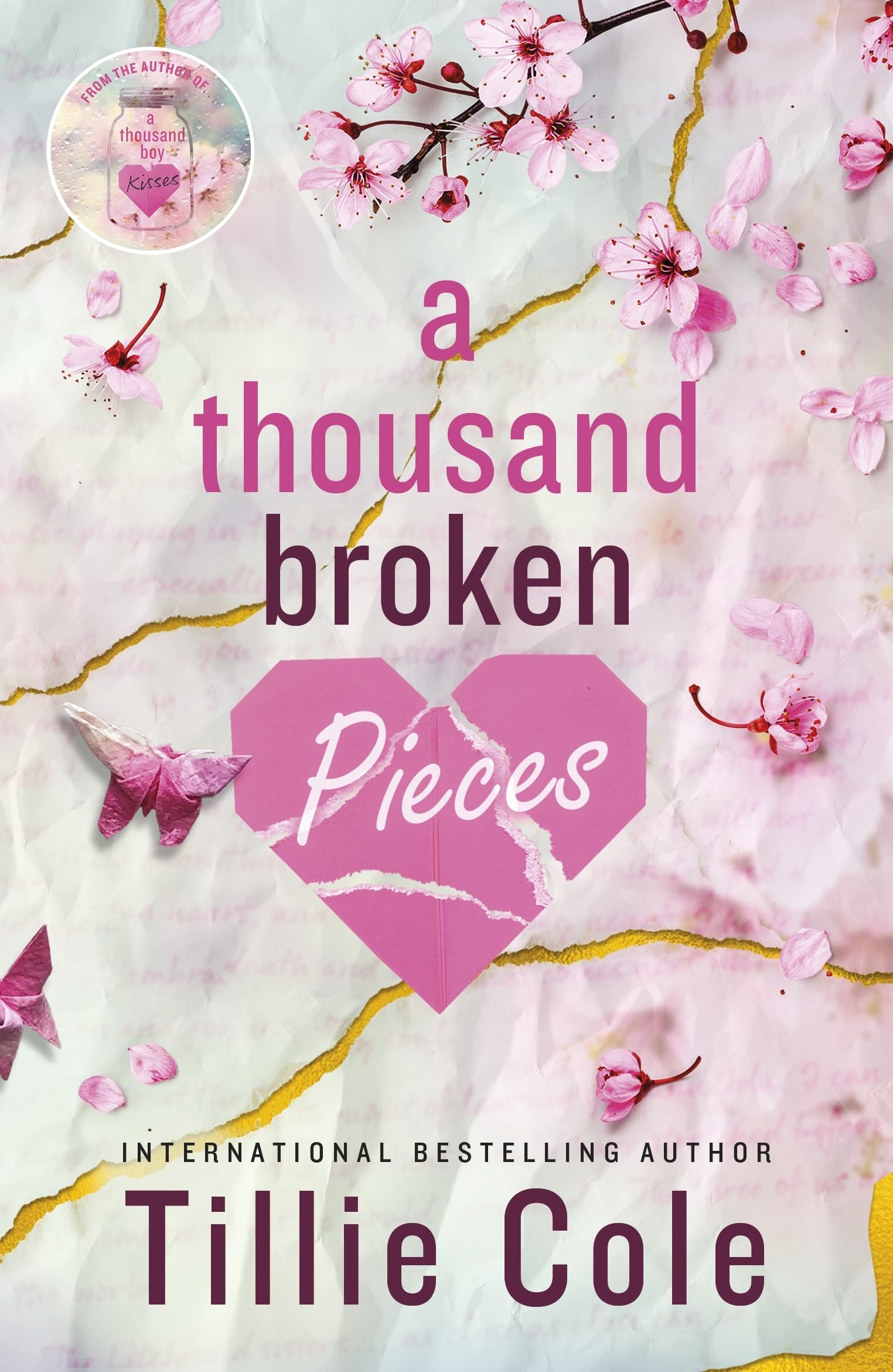 A Thousand Broken Pieces Contemporary literature Books