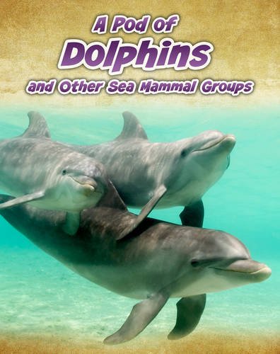 A Pod of Dolphins: and Other Sea Mammal Groups (Animals in Groups) Non-fiction
