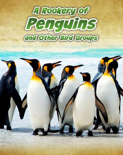 A Rookery of Penguins: and Other Bird Groups (Animals in Groups) Non-fiction