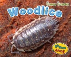 Creepy Crawlies Pack B of 5 Study Guides