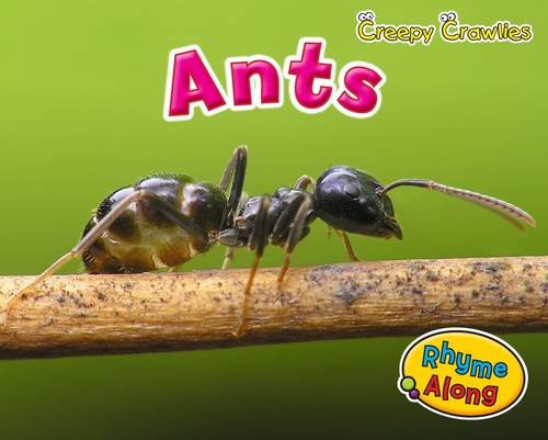Creepy Crawlies Pack B of 4 Non-fiction