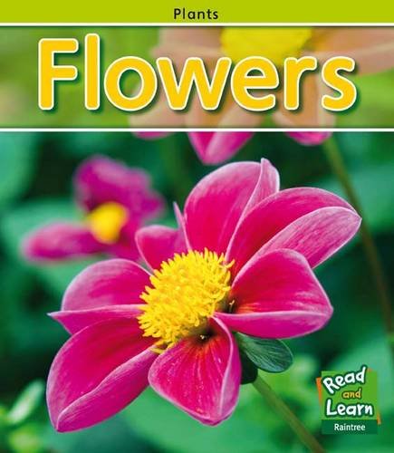 Product Image: Flowers (Spot the Difference)