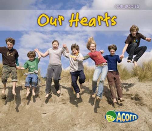 Our Heart (Our Bodies) Non-fiction