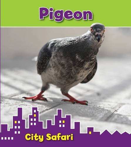 Product Image: Pigeon: City Safari