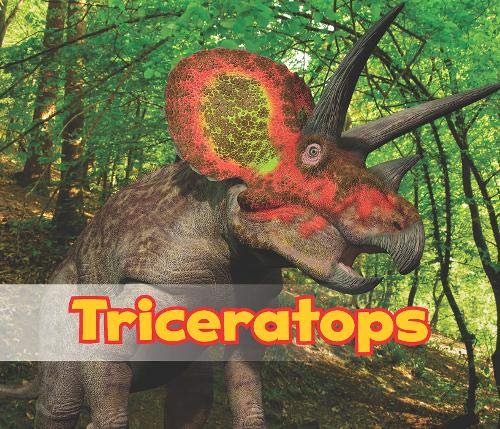 Product Image: Triceratops (All About Dinosaurs)