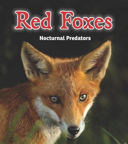 Red Foxes: Nocturnal Predators (Night Safari) Non-fiction